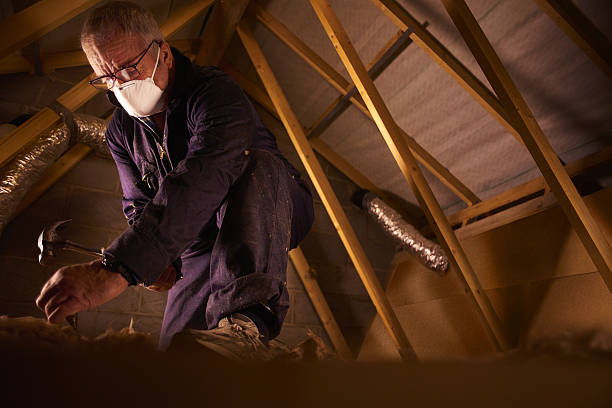 Best Geographic-Specific Insulation Services in South Carthage, TN